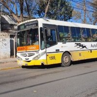 Los usuarios del transporte urbano de Neuquén podrán ir a la segunda audiencia del nuevo servicio