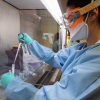 España elaboró un cóctel de medicamentos para derrotar el coronavirus