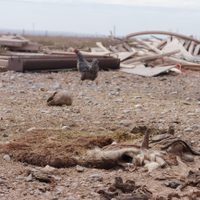 La provincia de Neuquén declaró la emergencia hídrica y agraria por la sequía