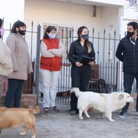 Zapala: Tu Barrio Saludable recorre la ciudad ejecutando tareas de limpieza