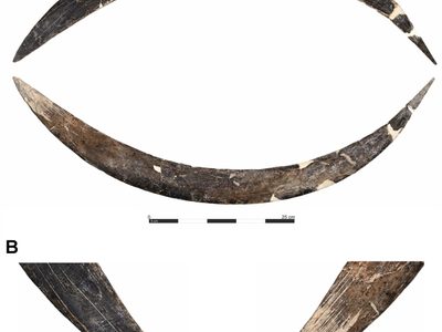 El bumerán de 40.000 años que abre miles de incógnitas
