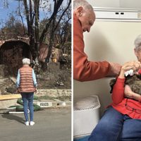 VIDEO: Increíble reunión de un gato con su dueña tras los incendios en Los Ángeles