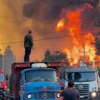 Río Negro se alía a Chubut y Neuquén para prevenir incendios forestales durante el verano