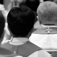 Para la Compañía de Jesús, con mi dolor y mi indignación