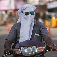 Mueren 2 mil 200 personas en India por 'ola de calor”
