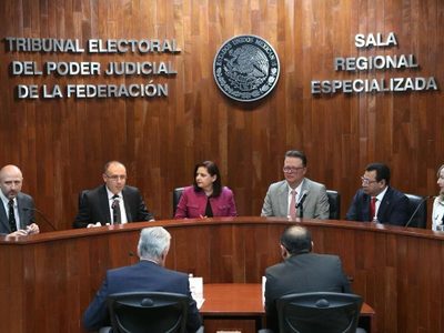 ¿Cómo resuelve el Tribunal Electoral los conflictos relacionados con actos de los partidos políticos?