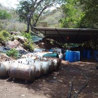 Desmantelan narcolaboratorio en Aquila; hallan mariguana y metanfetamina