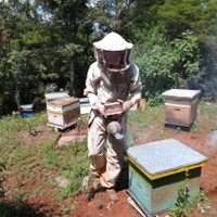 Un mortal asalto químico a la naturaleza