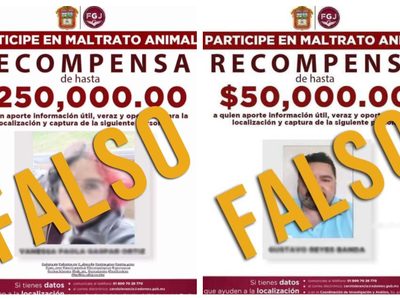 Denuncian a la adolescente que torturó y mató a un cachorro en Puebla