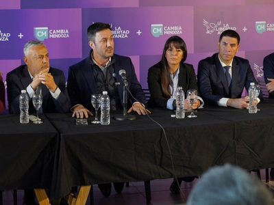 Así votaron los diputados mendocinos la Ley de Glaciares