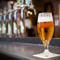 ¡Para birreros! : Curso de Ciencia y Cerveza en Bariloche