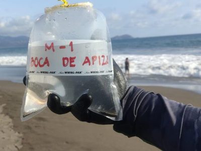 Estas son las únicas 3 playas reprobadas por la Cofepris para las vacaciones de Semana Santa