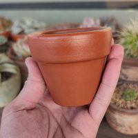 Sin gastar fortuna en un bazar: creá esta maceta "low cost" y súper útil con portavelas