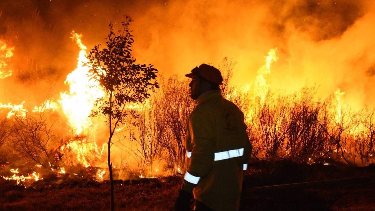 Incendio. Fuente: (Twitter)