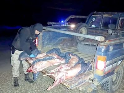 Crianceros del norte patagónico se quejaron por los excesos en las exigencias sanitarias