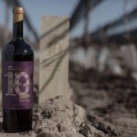 El club de vinos Bonvivir festeja sus 10 años de vida con una nueva etiqueta