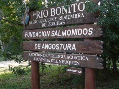 Villa La Angostura: ATE pide que se declare de interés municipal a la Fundación Salmónidos