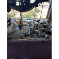Catean finca en Zapopan y hallan mariguana, armas y granadas