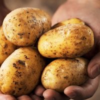Burbujas de papas: una receta diferente y muy rica para acompañar tu próxima comida