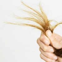 No cortes tu cabello: prepará esta mascarilla mágica para reparar las puntas abiertas en solo unos días