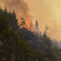 Incendio en El Bolsón: Gendarmería allanó la vivienda de uno de los sospechosos de iniciar el fuego