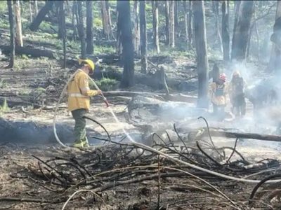 Creen que los incendios en Valle Magdalena se habrían originado por caída de rayos