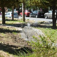 Zapala: se realizó de manera exitosa la prueba del nuevo sistema de riego en la calle Trannack