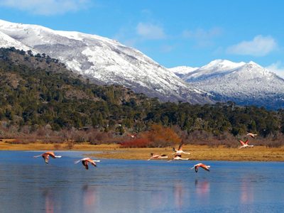 Martes soleado y cálido en Neuquén: el estado del clima para hoy