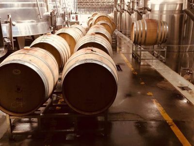 Taller de degustación de vinos de San Patricio del Chañar