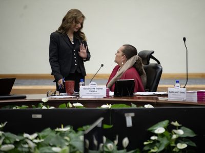INE contrata miniserie a empresa vinculada con la Estafa Maestra; Carla Humphrey se deslinda