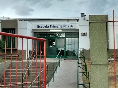Priscila Ottón: “Si muere un niño, Llancafilo y el gobierno del MPN serán responsables”