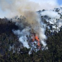 Los recortes fatales de la 4T