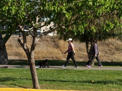 Clima en Neuquén: la semana termina sin viento