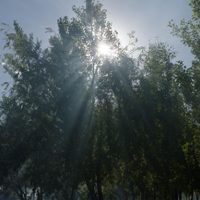 Clima en Neuquén: bajan las temperaturas máximas y mejoran las condiciones este sábado