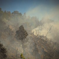Advierten de riesgo extremo de incendio en San Martín de los Andes