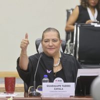 Sin mencionar abstención ni acordeones, Taddei reconoce “áreas de oportunidad” en elección judicial