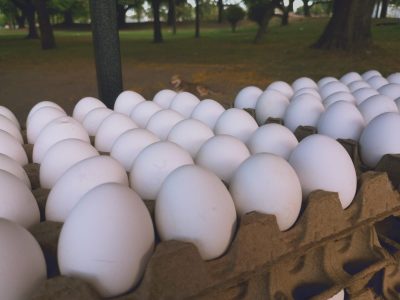 No tires los maples de huevos: creá este portamacetas con la forma más linda y original, sin gastar fortuna