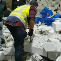 Desmantelan en España y Países Bajos red criminal ligada a los Beltrán Leyva (Video)