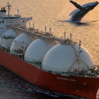 ONG exigen a Sheinbaum revocar permisos a megaproyectos de gas fósil en Golfo de California