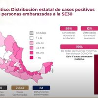 Ssa registra 2 mil 842 embarazadas o en puerperio que dieron positivo a covid-19; han fallecido 83