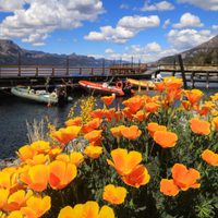 Clima en Neuquén: continúan las altas temperaturas pero con cielo nublado