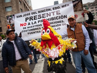 Galleros y taurinos marchan para exigir que sus actividades salgan de la agenda animalista