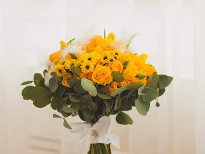 Las plantas con flores amarillas perfectas para iniciar la primavera: qué significan y cómo cultivarlas