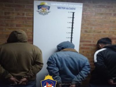 Frustraron un robo en un local comercial de Plottier y tres hombres quedaron demorados