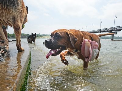 Fuerte calor pone a prueba la red eléctrica y la paciencia en Texas