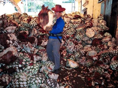 Acuerdo con la UE prioriza inversión extranjera, pero descuida a empresas mexicanas, alerta experto