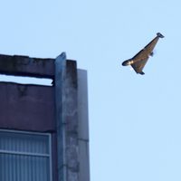 Ucrania afirma que Rusia lanzó el mayor ataque aéreo desde el inicio de la guerra