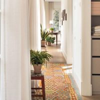 5 plantas de interior súper resistentes, que podés tener en pasillos o en recibidores de tu casa