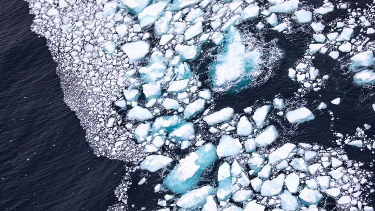 Imágenes recientes del  iceberg A68a, derretido casi al 100%. Fuente: (Twitter)