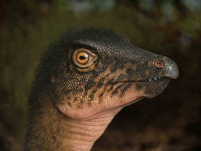 Descubren huesos de dinosaurio bajo un estacionamiento